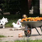 Kuh und Huhn aus Keramik und Schubkarre mit blühenden Blume