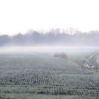 Nebelschwaden überm Feld