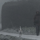 Frau mit Hund im Nebel
