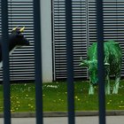 Schwarzweiße und grüne Kuh hinter Gittern